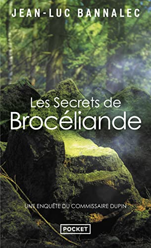 Stock image for Les Secrets de Broc liande for sale by ThriftBooks-Atlanta
