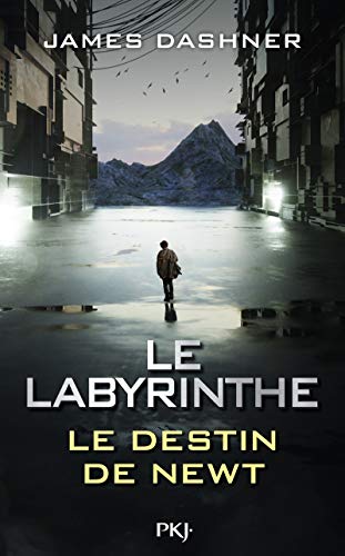 Beispielbild fr Le Labyrinthe : Le destin de Newt zum Verkauf von medimops