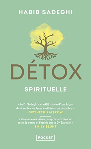 Stock image for Dtox spirituelle for sale by Librairie Th  la page