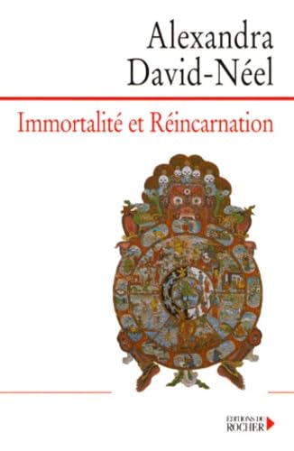 Stock image for Immortalit et R incarnation: Doctrines et pratiques : Chine, Tibet, Inde (Tradition/conscience) (French Edition) for sale by ThriftBooks-Dallas