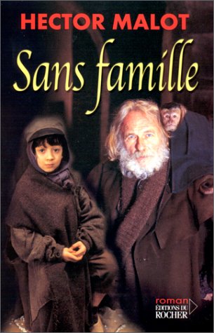 9782268038315: Sans famille