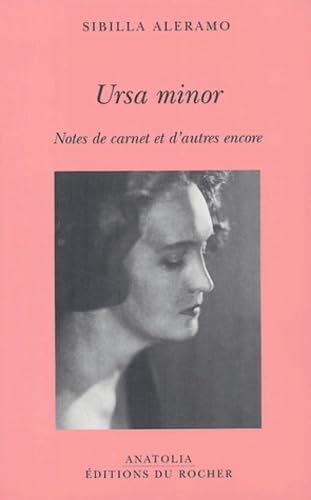 Stock image for URSA MINOR. NOTES DE CARNET ET D'AUTRES ENCORE for sale by Librairie rpgraphic