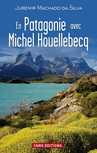 Beispielbild fr En Patagonie avec Michel Houellebecq zum Verkauf von Ammareal