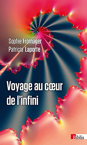 Beispielbild fr Voyage au coeur de l'infini zum Verkauf von Ammareal