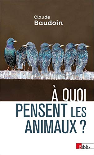 Beispielbild fr A quoi pensent les animaux ? zum Verkauf von Ammareal