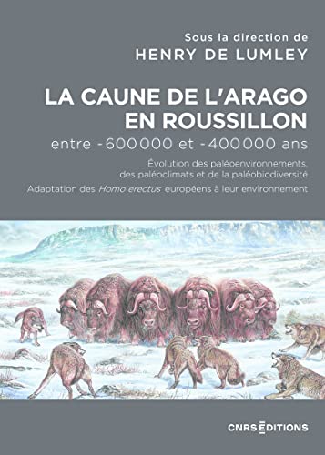 Beispielbild fr La Caune de l'Arago en Roussillon entre -600 000 et -400 000 ans - Les Homo Erectus europens dans l zum Verkauf von Ammareal