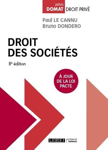 Stock image for Droit des socits (2019) for sale by Ammareal