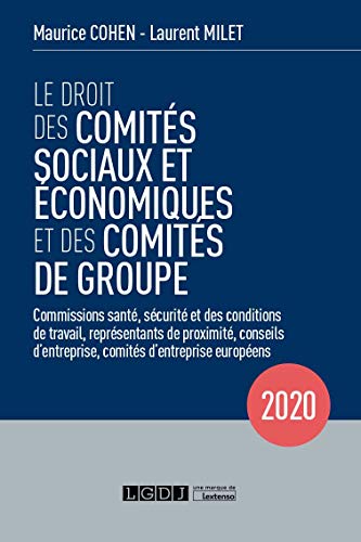 Beispielbild fr Le droit des comit  s sociaux et   conomiques et des comit  s de groupe (CSE): Commissions sant  , s  curit  et des conditions de travail, repr  sentants de . comit  s d'entreprise europ  ens (2020) zum Verkauf von WorldofBooks