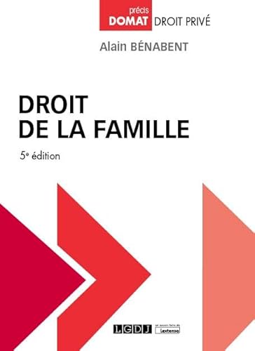 Stock image for Droit de la famille for sale by medimops