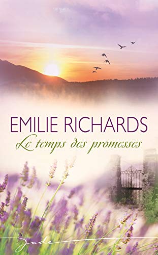 9782280213745: Le temps des promesses