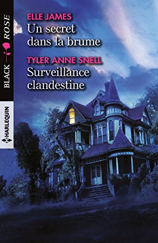 Stock image for Un secret dans la brume - Surveillance clandestine for sale by medimops