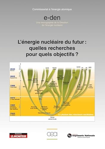 Stock image for L'ENERGIE NUCLEAIRE DU FUTUR : QUELLES RECHERCHES POUR QUELS OBJECTIFS ? for sale by LiLi - La Libert des Livres