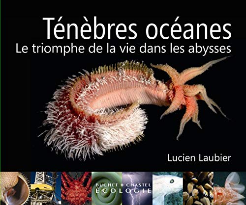 Stock image for Tnbres ocanes : Le triomphe de la vie dans les abysses for sale by Ammareal
