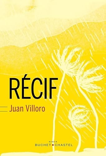 Stock image for Recif [Paperback] Villoro, Juan for sale by LIVREAUTRESORSAS