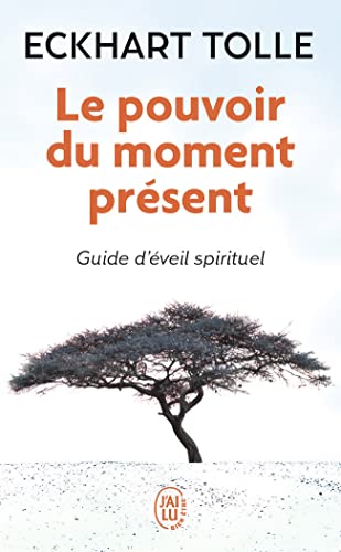 Stock image for Le pouvoir du moment prsent - Guide d'veil spirituel for sale by Librairie Th  la page