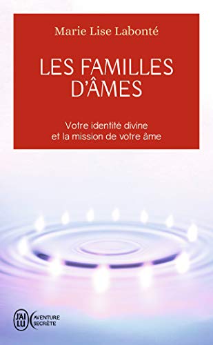 9782290071960: Les familles d'mes: Selon les enseignements des Anges Xedah et de l'Archange Michal