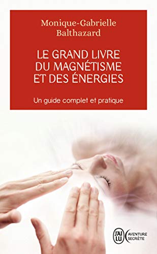 Beispielbild fr Le grand livre du magntisme et des nergies : Notes d'expriences et chroniques magntiques zum Verkauf von medimops