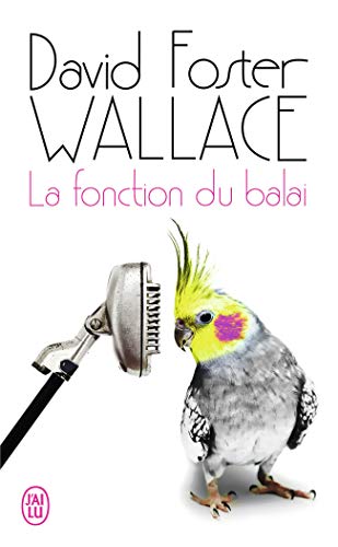 Stock image for La fonction du balai for sale by Ammareal
