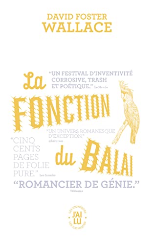Stock image for La Fonction Du Balai for sale by RECYCLIVRE