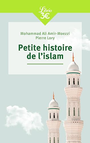 Beispielbild fr Petite histoire de l'islam [FRENCH LANGUAGE - No Binding ] zum Verkauf von booksXpress