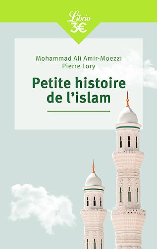 Imagen de archivo de Petite histoire de l'islam [FRENCH LANGUAGE - No Binding ] a la venta por booksXpress