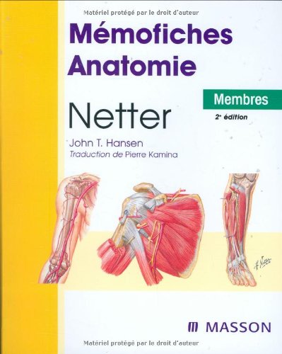 Stock image for Mmofiches Anatomie Netter : Membres for sale by Ammareal