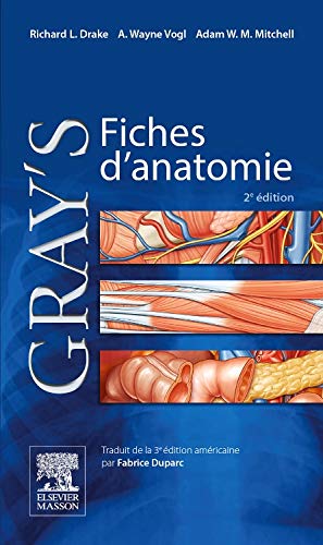 Stock image for Gray's Fiches d'anatomie for sale by Ammareal
