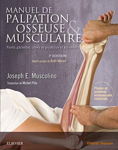 Beispielbild fr Manuel de palpation osseuse et musculaire, 2e dition: Points gchettes, zones de projection et tirements zum Verkauf von medimops