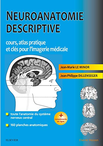 Beispielbild fr Neuroanatomie descriptive: Cours, atlas pratique et cls pour l'imagerie mdicale (French Edition) zum Verkauf von Gallix