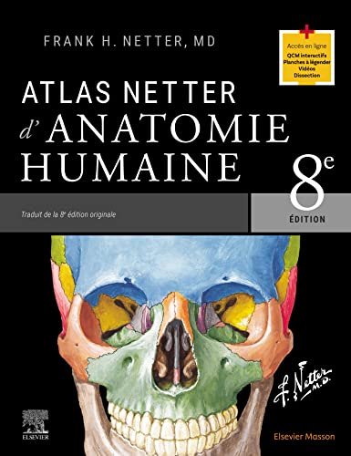 Stock image for Atlas Netter d`anatomie humaine for sale by Buchpark