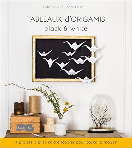 9782295006288: Tableaux d'origamis black & white: 15 projets  plier et  encadrer pour toute la maison