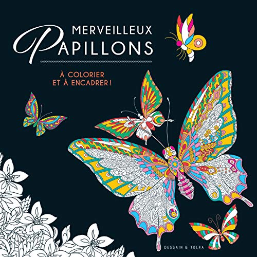 Beispielbild fr Merveilleux papillons  colorier et  encadrer ! zum Verkauf von Revaluation Books