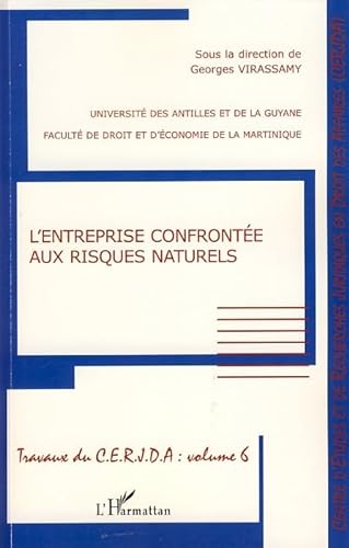 Stock image for L'entreprise confronte aux risques naturels for sale by Chapitre.com : livres et presse ancienne