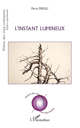 9782296563087: L'instant lumineux