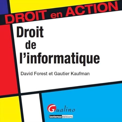 Stock image for Droit de l'informatique for sale by medimops
