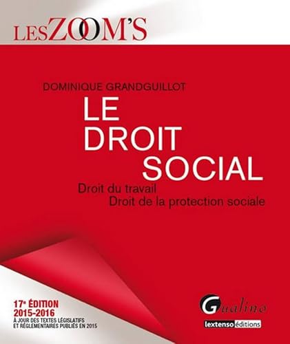 Stock image for Zoom's Le Droit social 2015-2016, 17me Ed. for sale by Ammareal