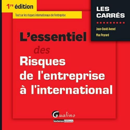 Imagen de archivo de L'essentiel des Risques de l'entreprise  l'international a la venta por medimops