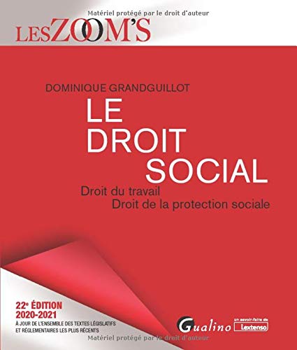 9782297092074: Le droit social: Droit du travail - Droit de la protection sociale (2020-2021)