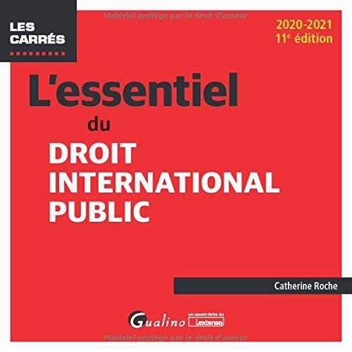 Imagen de archivo de L'essentiel du droit international public (2020-2021) a la venta por Ammareal