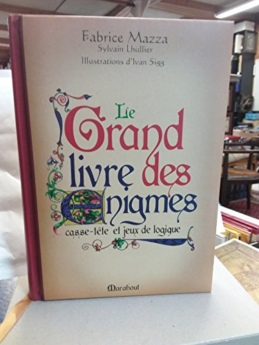 Stock image for Le grand livre des enigmes for sale by Ammareal