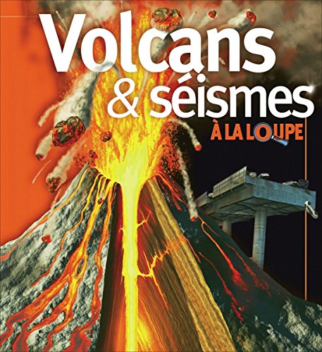 Beispielbild fr Volcans & sismes zum Verkauf von Chapitre.com : livres et presse ancienne