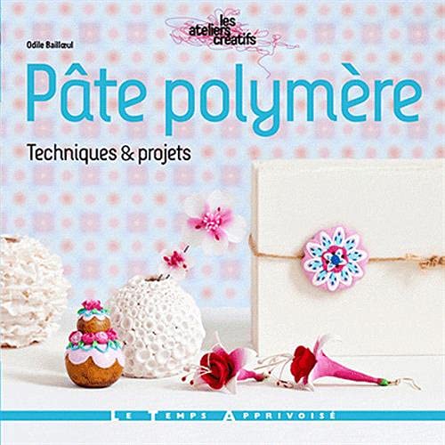 9782299001692: Pte polymre: Techniques et projets (Les ateliers cratifs)