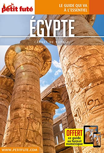 Beispielbild fr Guide Egypte 2023 Carnet Petit Fut zum Verkauf von medimops