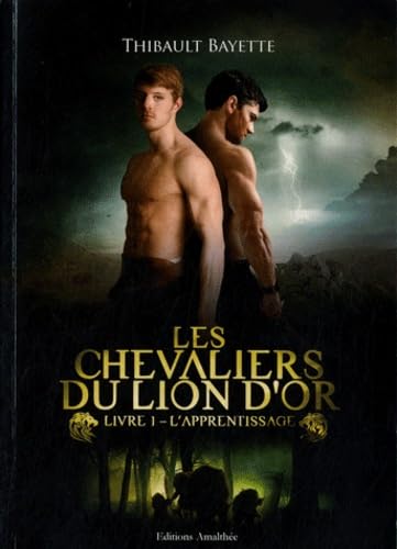 9782310009843: Le Chevalier du Lion d'Or, Tome 1 : L'apprentissage