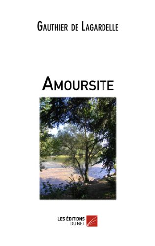 9782312002941: Amoursite