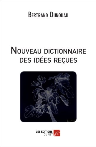 9782312027616: Nouveau dictionnaire des ides reues