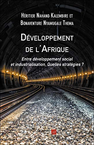 Beispielbild fr Dveloppement de l'Afrique: Entre dveloppement social et industrialisation. Quelles stratgies ? zum Verkauf von Revaluation Books