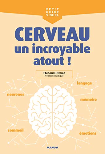 Stock image for Le Cerveau : Un Incroyable Atout ! for sale by RECYCLIVRE