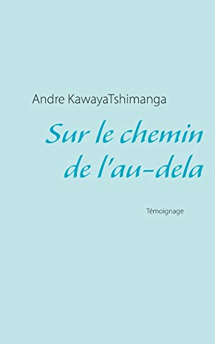 Stock image for Sur le chemin de l'au-dela for sale by Chiron Media