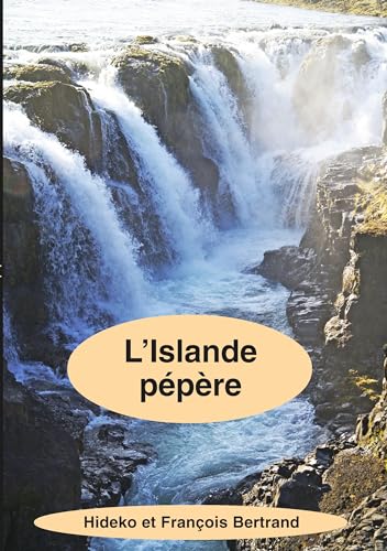 Stock image for L'Islande ppre for sale by Ammareal